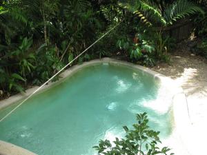 a small pool of blue water in a yard at Mossman Gorge Bed and Breakfast in Mossman