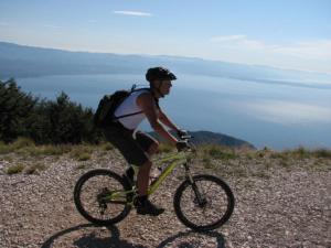 Fotografia z galérie ubytovania Villa Pelda Apartment, sea view, parking, pet friendly v destinácii Opatija