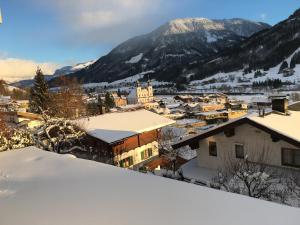 Fotografie z fotogalerie ubytování Appartement Sophia v destinaci Brixen im Thale
