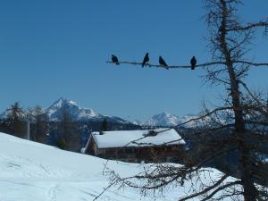 Mecki's Dolomiten Panorama Stubn v zimě