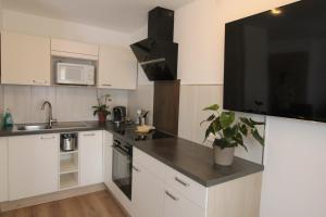 A kitchen or kitchenette at Kusternighof