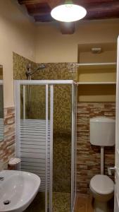 a bathroom with a shower and a toilet and a sink at Le rondini di San Donato in Lucca