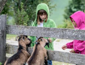 Majutusasutuses Christernhof peatuvad lapsed