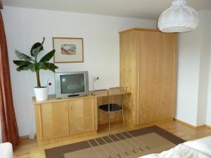 um quarto com uma secretária, uma televisão e um vaso de plantas em Apartment Prodinger em Mariapfarr