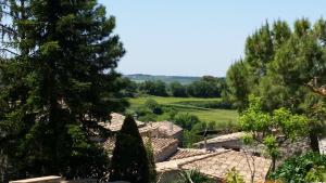 Príroda v okolí of the country house