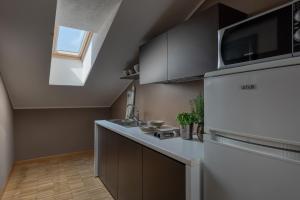 Kuchyň nebo kuchyňský kout v ubytování Vialeromadodici Rooms & Apartments