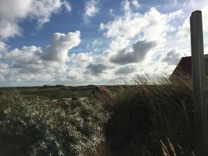 een veld van hoog gras met een bewolkte hemel bij 't Zeepaardje in Midsland aan Zee