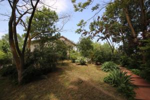 een tuin met bomen en een huis op de achtergrond bij La Casa nel Bosco in Savio di Ravenna