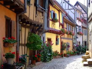 an alley in an old town with potted plants at camping Le Médiéval in Turckheim