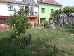 a garden in front of a house with a tree at Pension Zelený strom in Mikulov