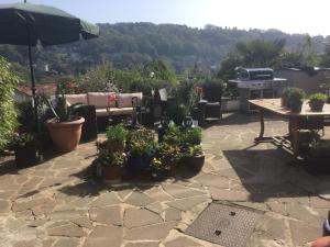 a patio with a bunch of potted plants and an umbrella at Highview Bed and Breakfast in Nailsworth