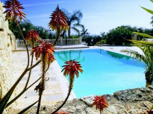 una piscina con acqua blu e palme di Casale Rocca Russa B&B a Villaggio Mosè