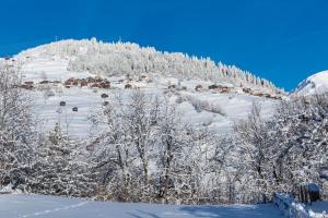 Hotel Garni Postigliun Andiast v zimě