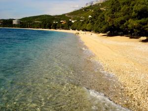 a beach with rocks and water and trees at Apartments Villa Katarina in Tučepi +39 photos