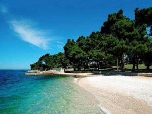 a beach with trees and the ocean on a sunny day at Pineta House Vidos in Poreč