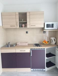 Kuchyň nebo kuchyňský kout v ubytování Apartments Nina