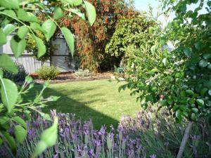 un jardín con césped verde y flores púrpuras en Shepp Central Apartment, en Shepparton