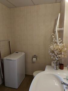 プラ・デ・ラ・エルミータにあるBtr Justal Immovallのバスルーム(トイレ、洗面台付)
