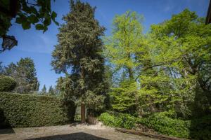 Vonkajšia záhrada v ubytovaní Villa in Private Estate,shared Pool,parking,3km to Ponte Vecchio