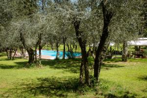 Vonkajšia záhrada v ubytovaní Villa in Private Estate,shared Pool,parking,3km to Ponte Vecchio