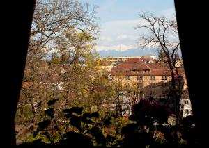 Foto dalla galleria di Casa Salzburg a Sibiu