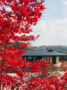 Fotografie z fotogalerie ubytování NARA japanese garden villa v destinaci Nara