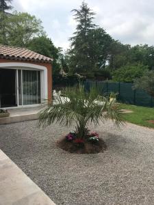 a palm tree in the middle of a gravel yard at Les lauriers roses in Montauroux