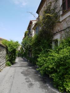 an empty street with plants on the side of a building at Vieille Ville 2 - La Petite Maison à Safranier, 2 bedrooms, max 4 adults and 2 kids in Antibes