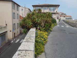 an empty street with buildings and palm trees and flowers at Vieille Ville 2 - La Petite Maison à Safranier, 2 bedrooms, max 4 adults and 2 kids in Antibes