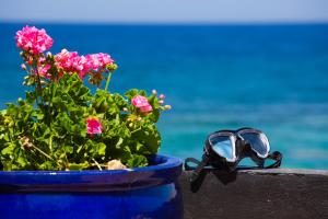 Táj Show holiday homes közelében
