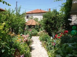 a garden with flowers in front of a house at Arhontiko in Psarádes