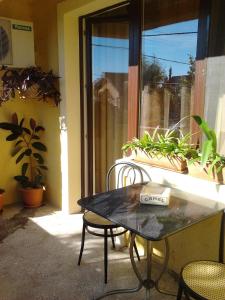 a table and chairs in front of a window with plants at Pensiunea Sydney in Timişoara