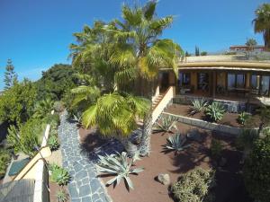 an aerial view of a house with palm trees at Finca SanJuan (Batista) für Gruppen in Guía de Isora