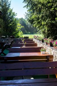 a row of wooden benches with flowers and plants at Złota Rybka in Glinojeck