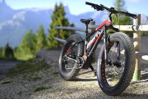 a bike parked next to a wooden fence at Etrusca Polsa in Brentonico