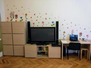 TV a/nebo společenská místnost v ubytování Apartments Týnská 7