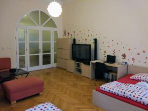 TV a/nebo společenská místnost v ubytování Apartments Týnská 7