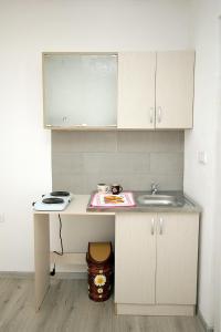 a small kitchen with a sink and a counter at Apartments Victoria in Sutomore