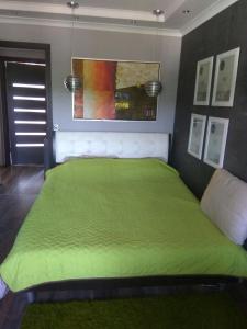 キーウにあるHomestay on Kazymyra Malevychaのベッドルーム1室(緑のベッド1台、緑の毛布付)