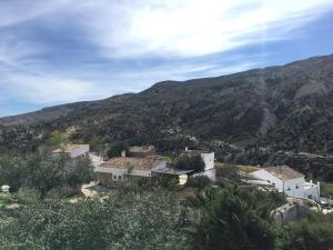 Príroda v okolí of the country house
