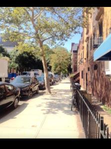 una strada cittadina con auto parcheggiate e un albero di Harlem Brownstone a New York
