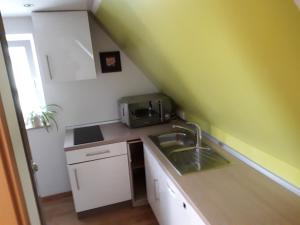 a small kitchen with a sink and a microwave at Schöne Zeit in Friedrichshafen