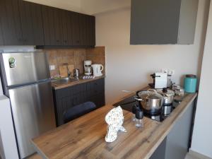 Kuchyň nebo kuchyňský kout v ubytování Apartments Aliki