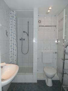 a bathroom with a shower and a toilet and a sink at Villa Vogelsang VO, Schwimmbad, Sauna in Sierksdorf