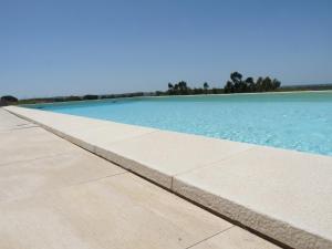 un bassin d'eau bleue avec des arbres en arrière-plan dans l'établissement MirArte, à Montemor-o-Novo