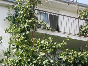 Balkón alebo terasa v ubytovaní Apartments Prižmić