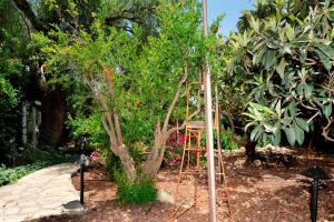 Giardino di Eretz Hagalil - Land of Galilee