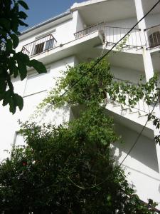 Gallery image of Apartments Prižmić in Podstrana