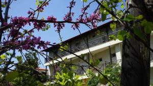 a building with purple flowers in front of a tree at Hotel Morfeas in Platamonas