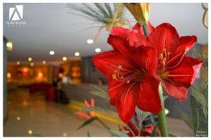 Fotografia z galérie ubytovania Hotel Alborada v destinácii Concepción